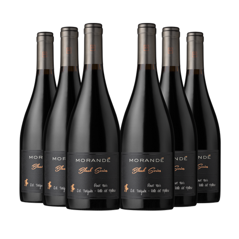 Morandé Tributo a Black Series Pinot Noir