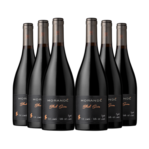 6 vinos Morandé Black Series Syrah 2022