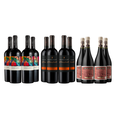 Pack Experiencia Carmenere