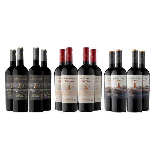 Pack Experiencia Pionero Cabernet Sauvignon