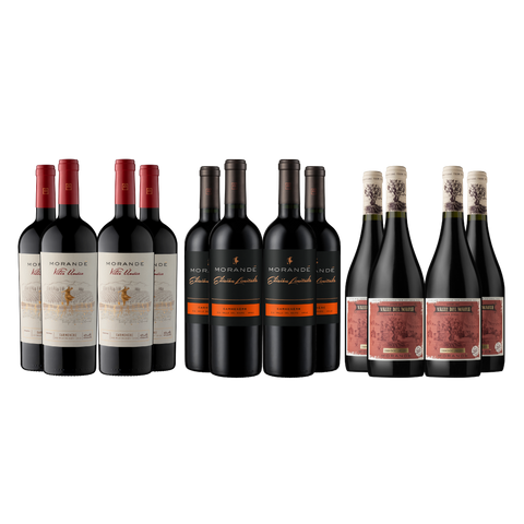 Pack Morandé Carmenere