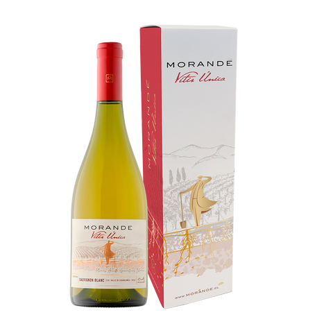 Morandé Vitis Unica Sauvignon Blanc 2022 + estuche