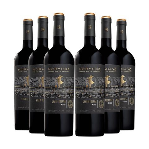 6 vinos Morandé Selección de Viñedos Gran Reserva Merlot 2022